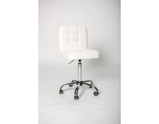 Стул мастера и клиента «ПРЕМЬЕР»